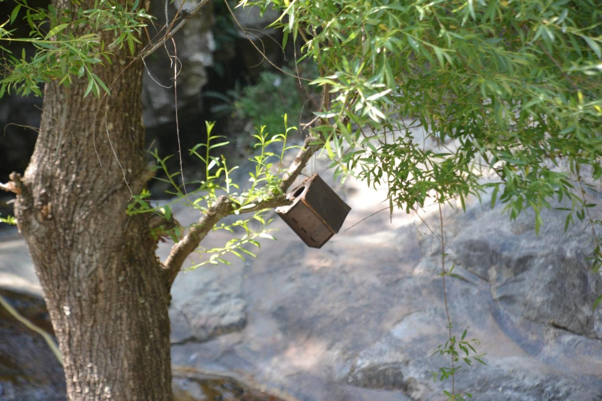Moksha By The River,Jibhi Buitenkant foto